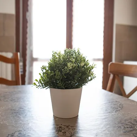 Apartamento Talenti Boutique *
